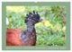 Thumbnail-11