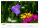 Thumbnail-9