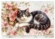 Thumbnail-12