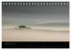Thumbnail-11