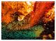 Thumbnail-8