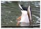 Thumbnail-10