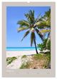 Thumbnail-13