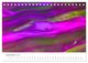 Thumbnail-11