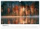 Thumbnail-14