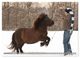 Thumbnail-14