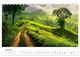 Thumbnail-11