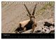 Thumbnail-13