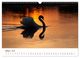 Thumbnail-12