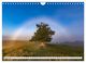 Thumbnail-14