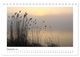 Thumbnail-14