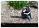 Thumbnail-12