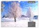 Thumbnail-14