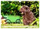 Thumbnail-12