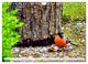 Thumbnail-11