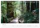 Thumbnail-10