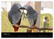 Thumbnail-13