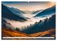 Thumbnail-14