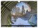 Thumbnail-11