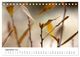 Thumbnail-14