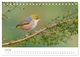 Thumbnail-9