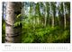 Thumbnail-9