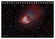Thumbnail-11