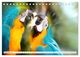 Thumbnail-11