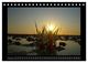 Thumbnail-11