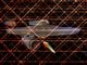 Thumbnail-4