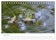 Thumbnail-9