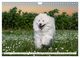 Thumbnail-9