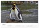 Thumbnail-12