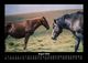 Thumbnail-12