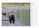 Thumbnail-11