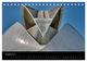 Thumbnail-10