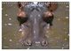 Thumbnail-11