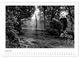 Thumbnail-11