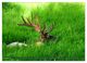 Thumbnail-12