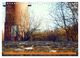 Thumbnail-8