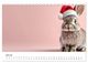 Thumbnail-12