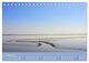 Thumbnail-13