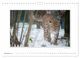 Thumbnail-13