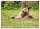 Thumbnail-13