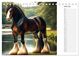 Thumbnail-11