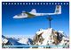 Thumbnail-12