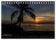Thumbnail-13