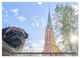 Thumbnail-12