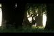 Thumbnail-11