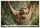 Thumbnail-8